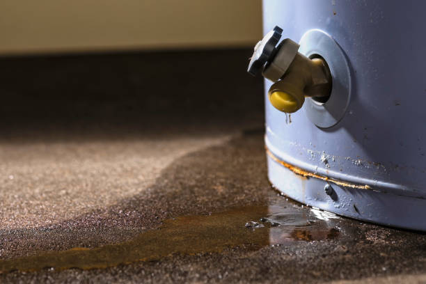Reliable Butler, WI Water damage restoration Solutions