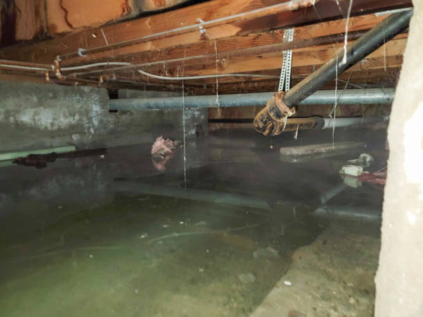 Best Flood damage cleanup  in Butler, WI