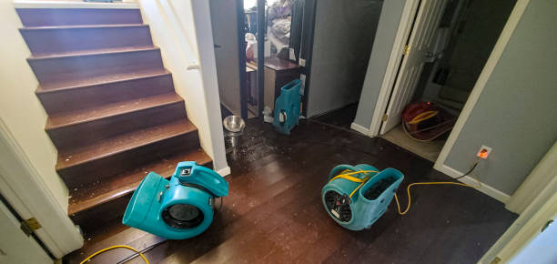 Best Water damage cleanup near me  in Butler, WI