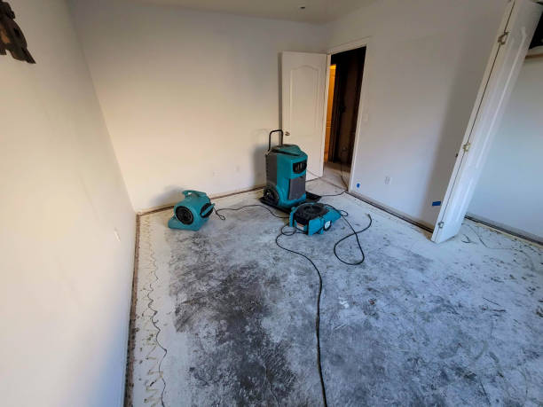 Best Emergency water extraction  in Butler, WI
