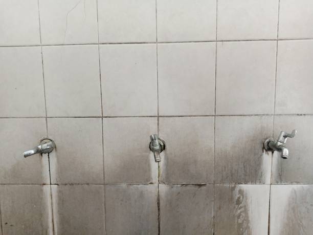 Best 24-hour water damage restoration  in Butler, WI